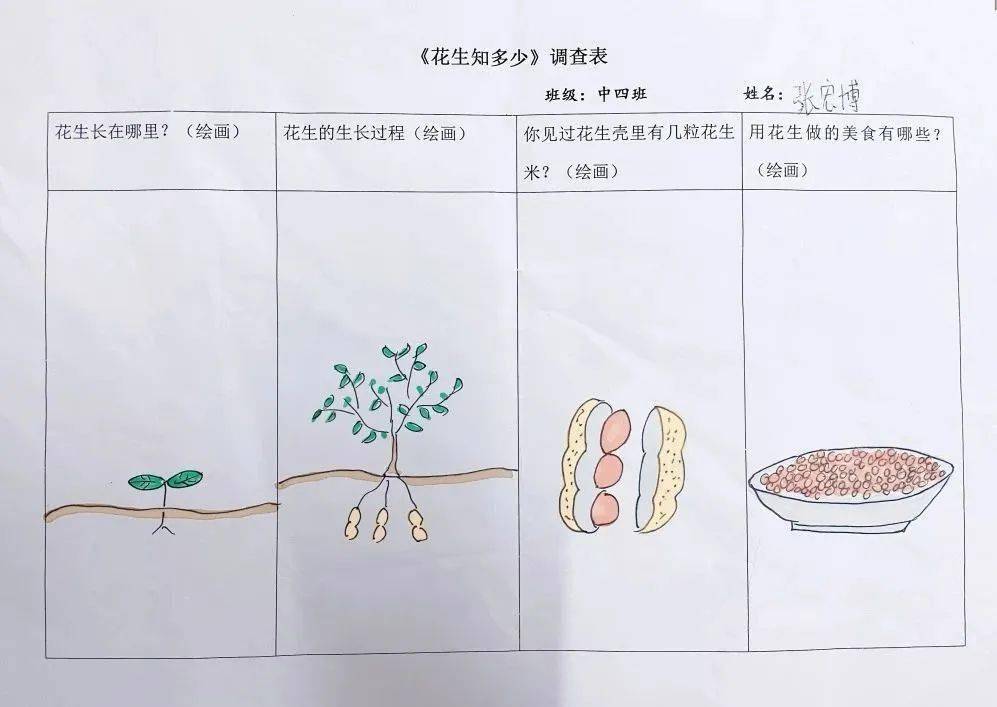 植物种子调查表图片