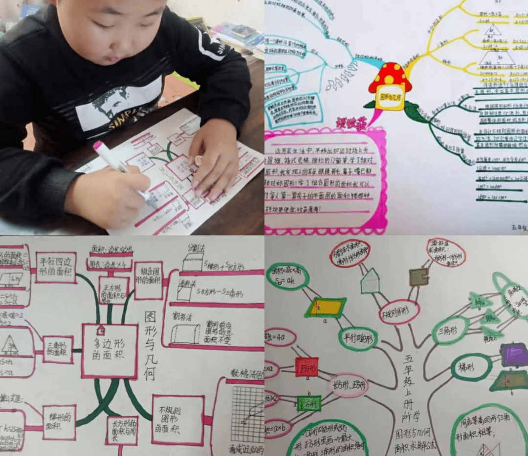 展思维之美 显数学之魅——阳谷县第二实验小学用思维导图助力总复习