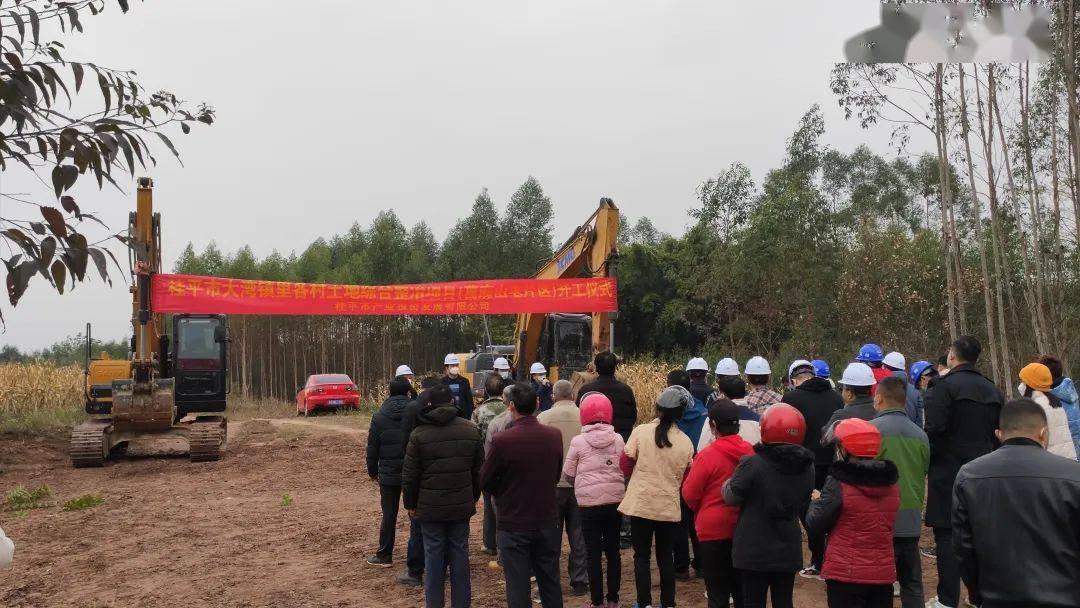桂平大湾镇这个项目开工!_建设_土地_整治