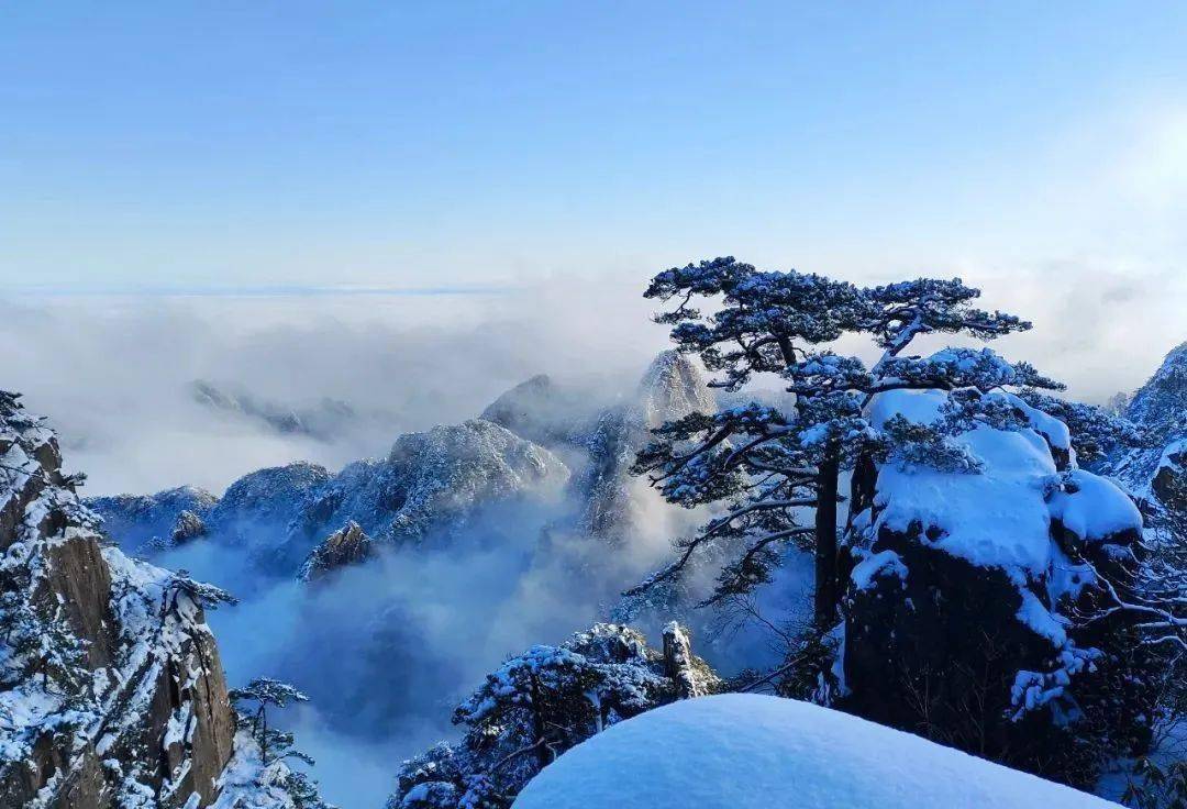 最美的景色雪景图片