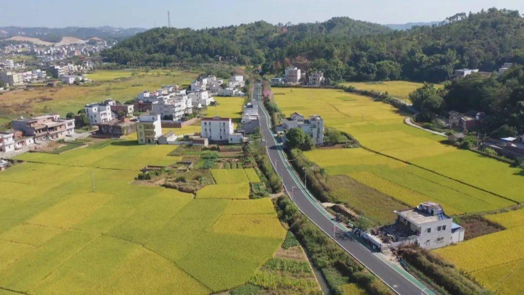 十年:五华县华城镇,千年古镇乘"龙"腾飞_阿姨_家乡_村民