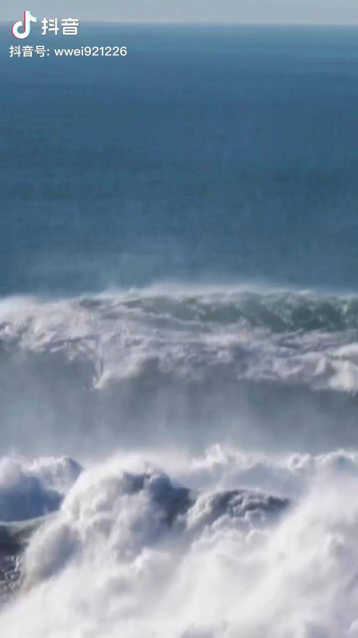 台风巨浪里 居然有只野生哪吒在冲浪,还在浪上做了腾空360!