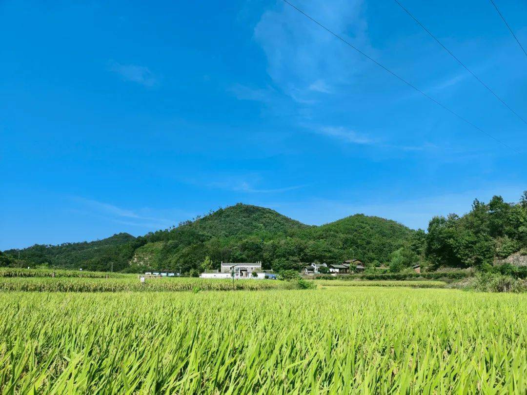 九江德安袁家山科普教育基地入选全国科普教育基地!