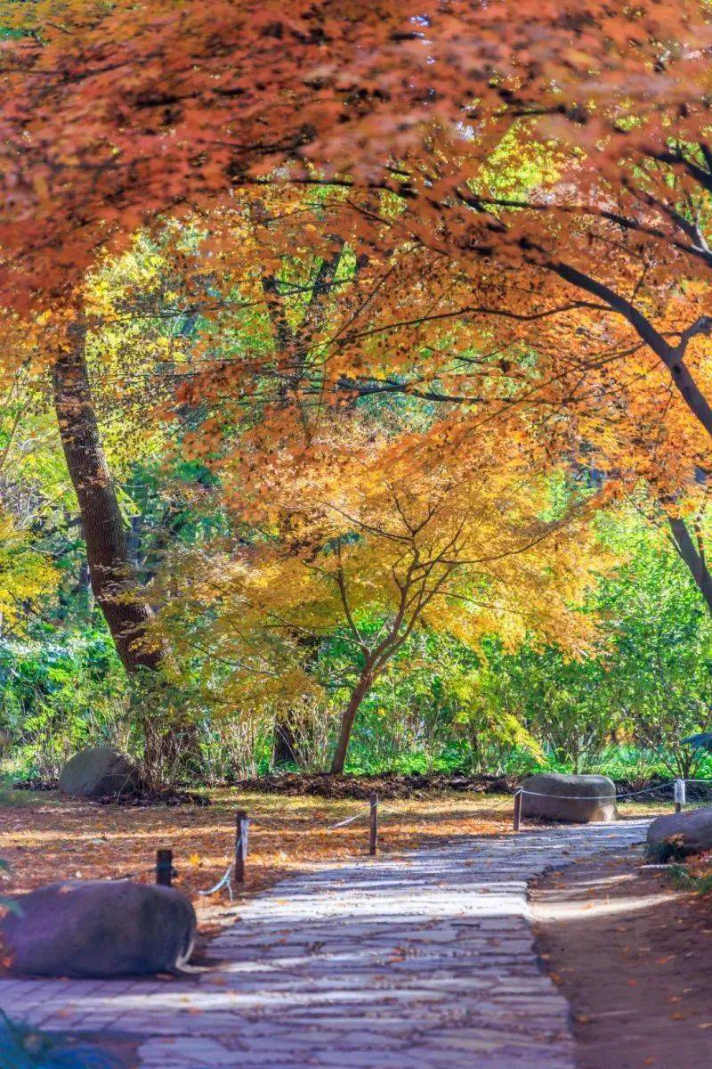 定格最美的风景,来看看这波公园美图吧!_网友_美景_来自