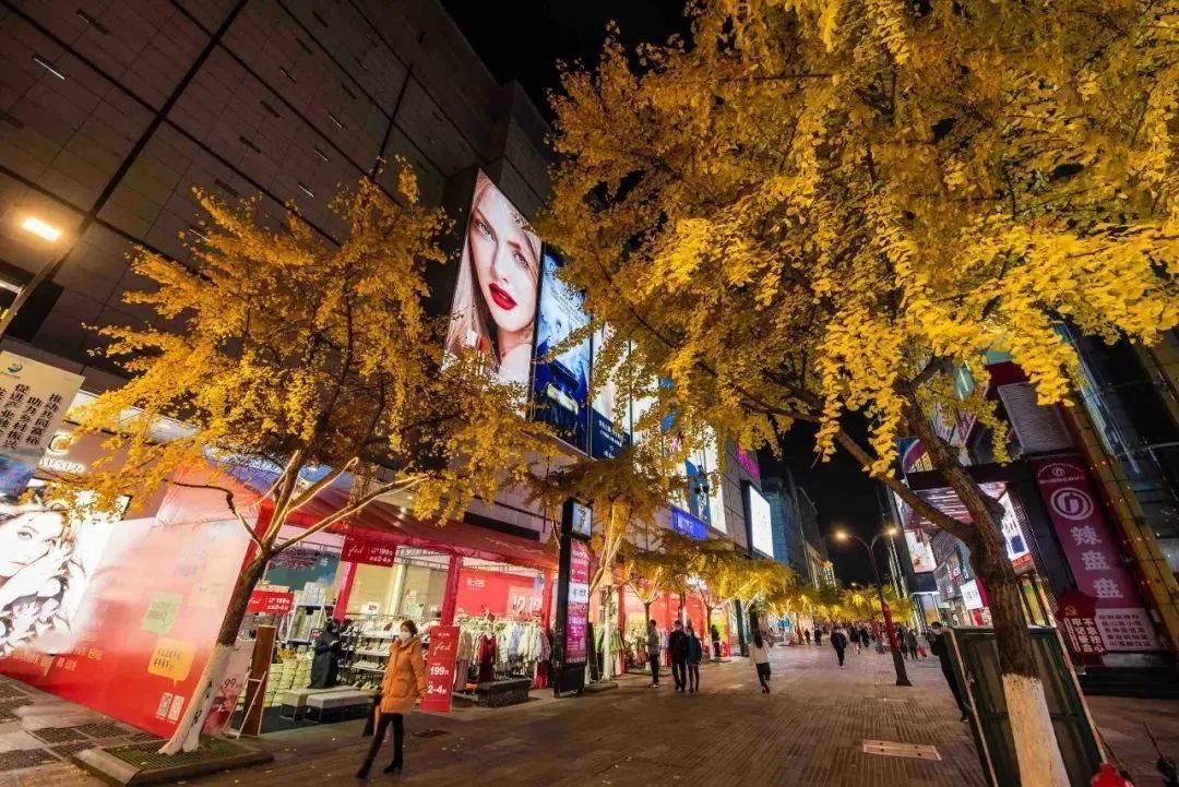 永康市溪心街区浦江县人民广场街区武义县壶山广场街区磐安县海螺街区