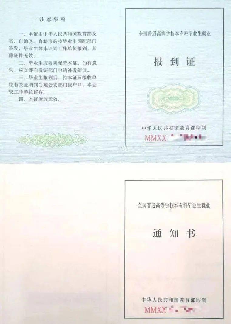 2023年起,不再发放《全国普通高等学校本专科毕业生就业报到证》和