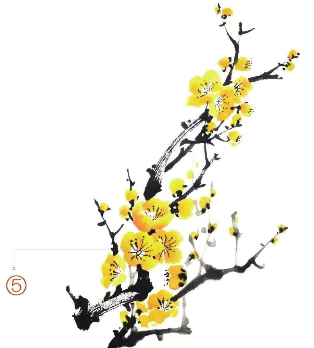 写意腊梅画法