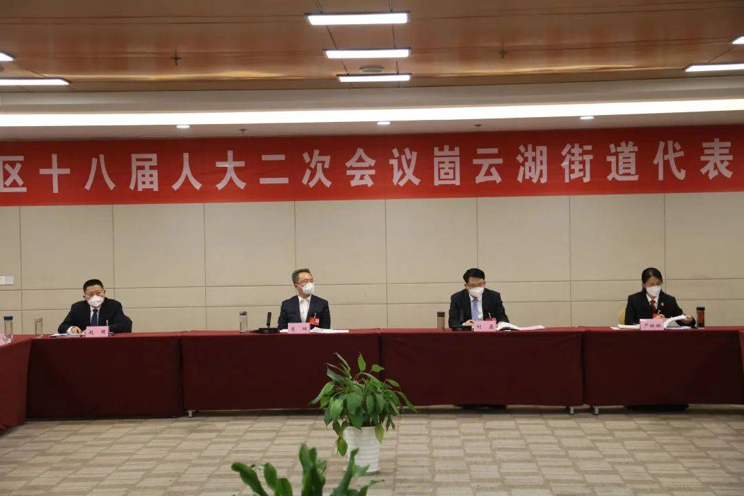 肖辉参加崮云湖人大代表团分组讨论_工作_发展_保障