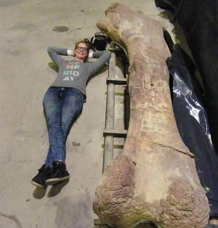 反差巨大的"对比"照_人类_美国_容量