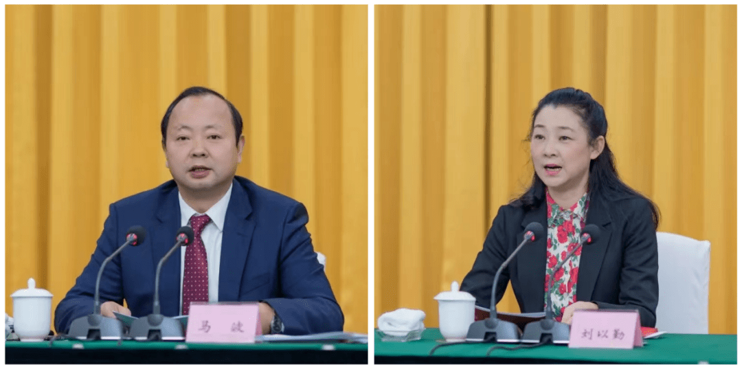 马波代表乐山市委,市政府向乐山市侨商联合会的成立表示热烈祝贺,向