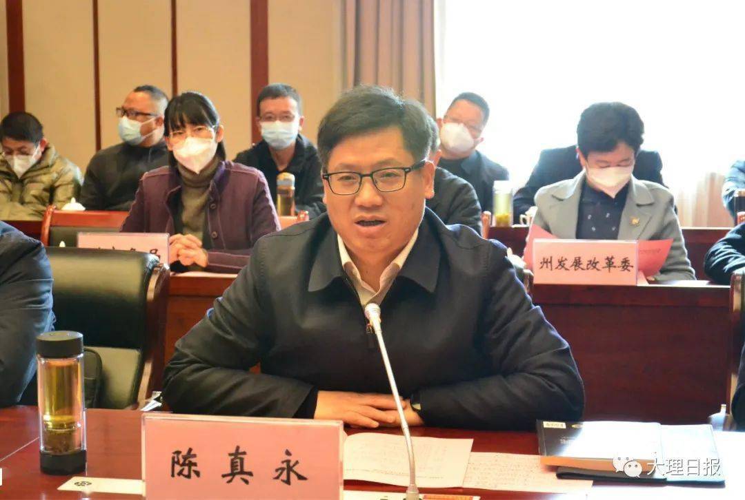 大理州与四川特驱投资集团等企业签订战略合作协议 陈