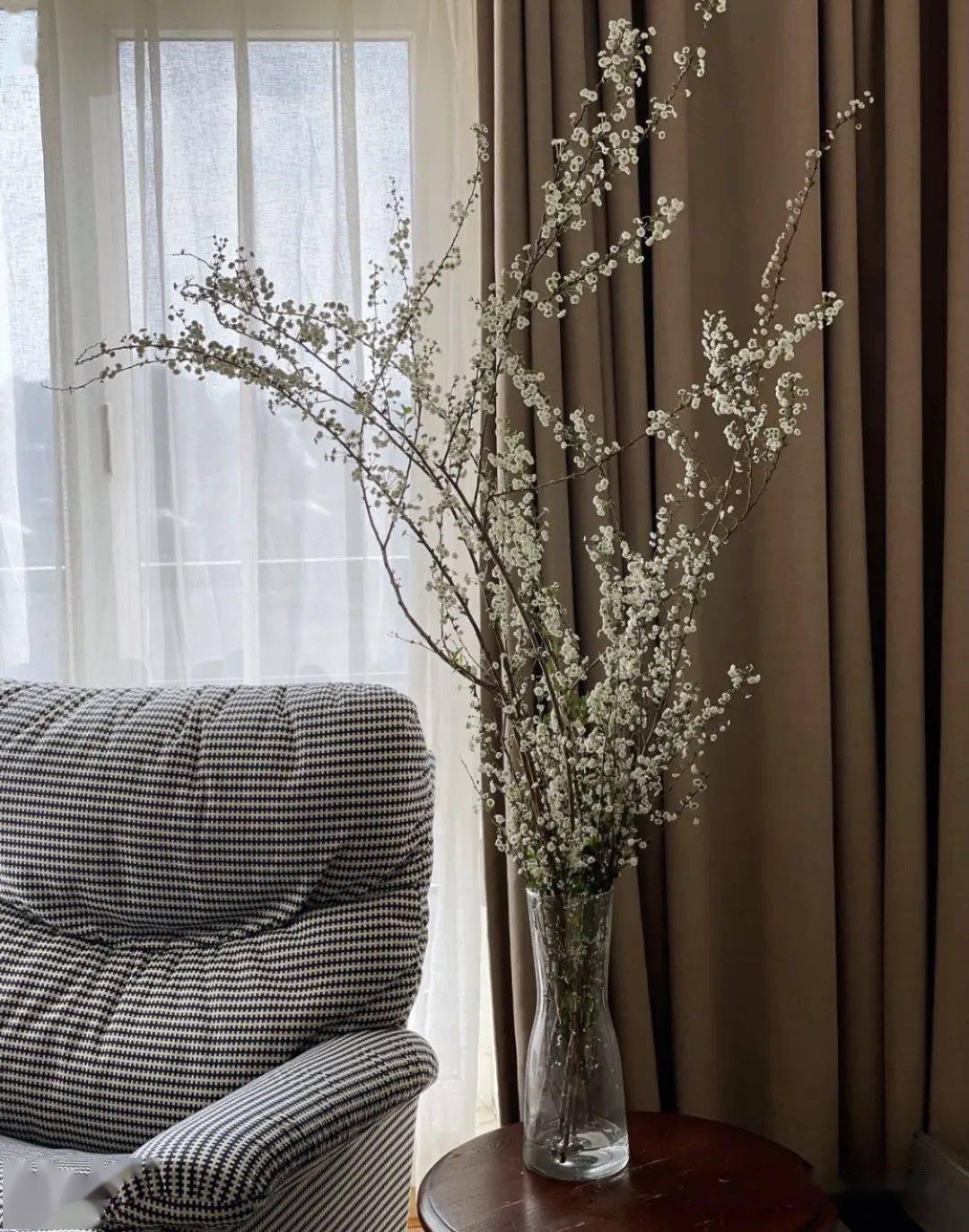 最治愈的鲜切花雪柳,花瓶就能养,开花美到犯规!_雪花_珍珠_花瓣