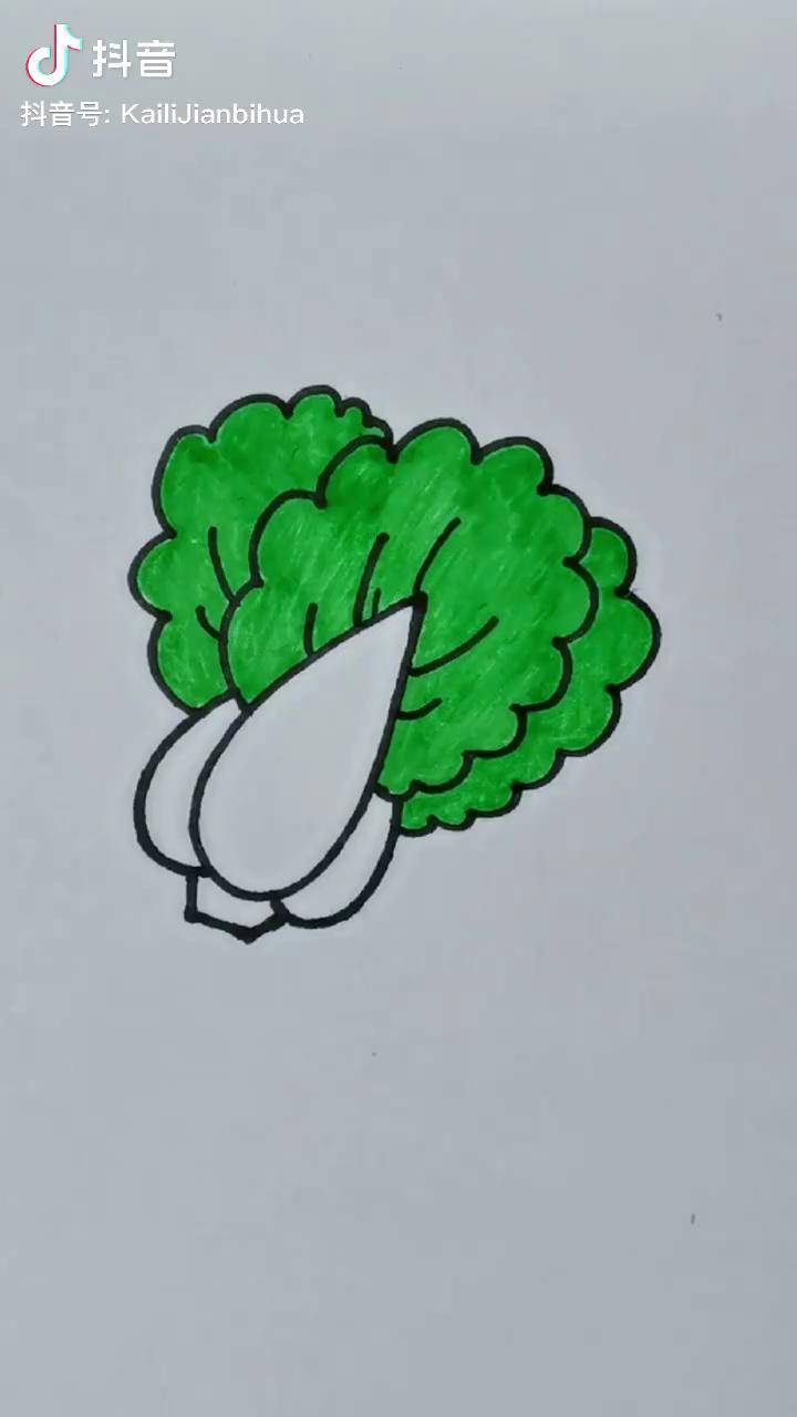 这样画大白菜秒会,一起来画画吧 儿童简笔画 白菜简笔画 大白菜画法
