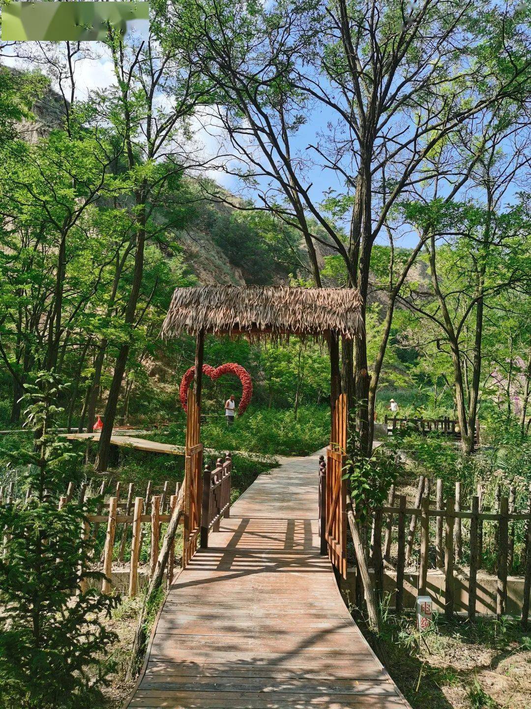 静宁县35°苹果谷国家aaa级旅游景区——爱情谷_茅草盖_白茅_诗经