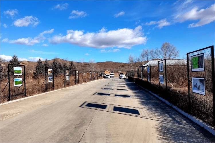 阿荣旗复兴镇:"金花金果"村中栽 产旅融合客自来_发展_种植_沙棘