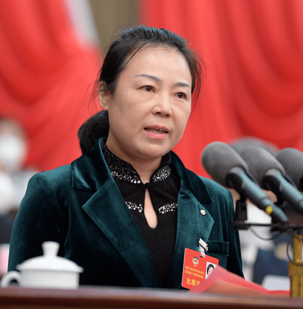 发言人:九三学社省委会 兰亚青打好促进消费"组合拳"让居民能消费,敢