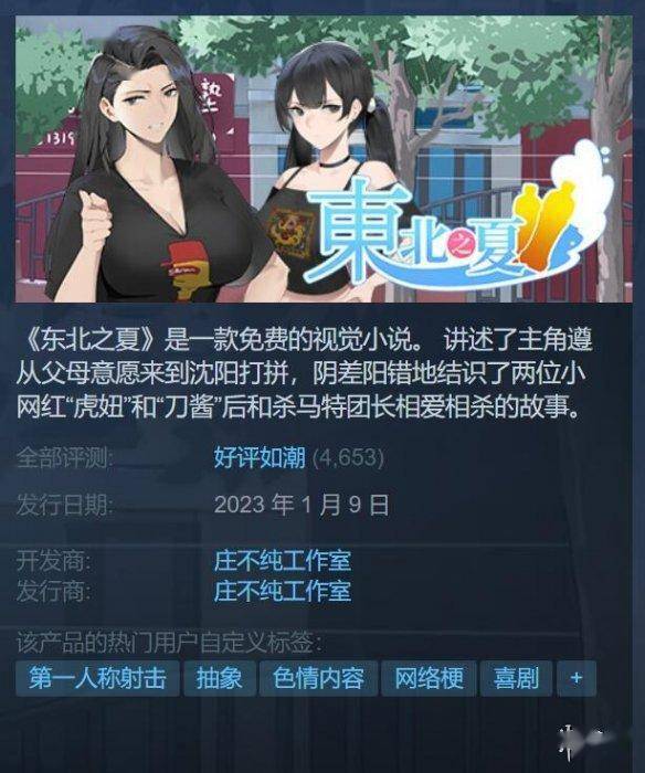 Steam好评如潮免费游戏东北之夏互动视频！东北之夏手机版动静