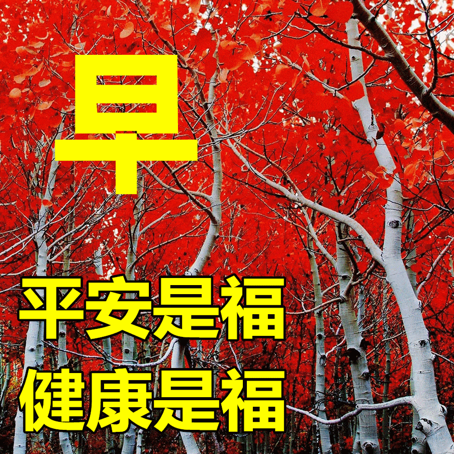 1月11日早上好动态表情图片大全,早晨好动图美图大全_祝福_人生_生活