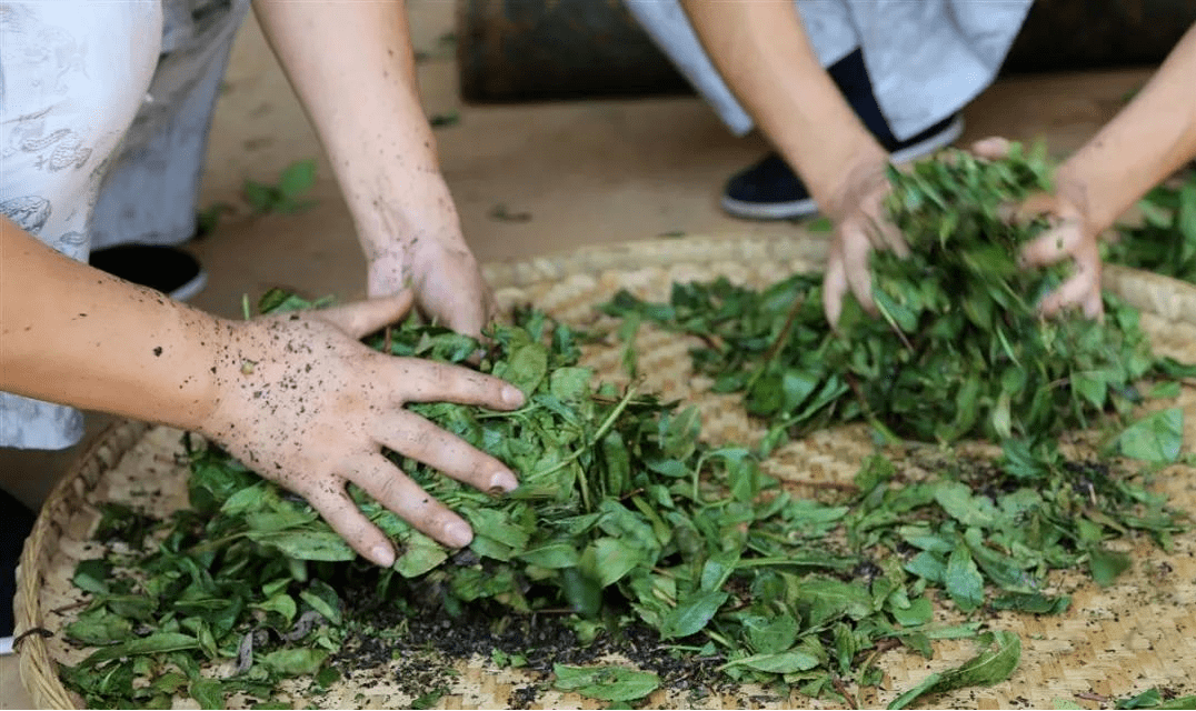 非遗中国茶 | 黑茶制作技艺(长盛川青砖茶制作技艺)_交流_湖北_我国