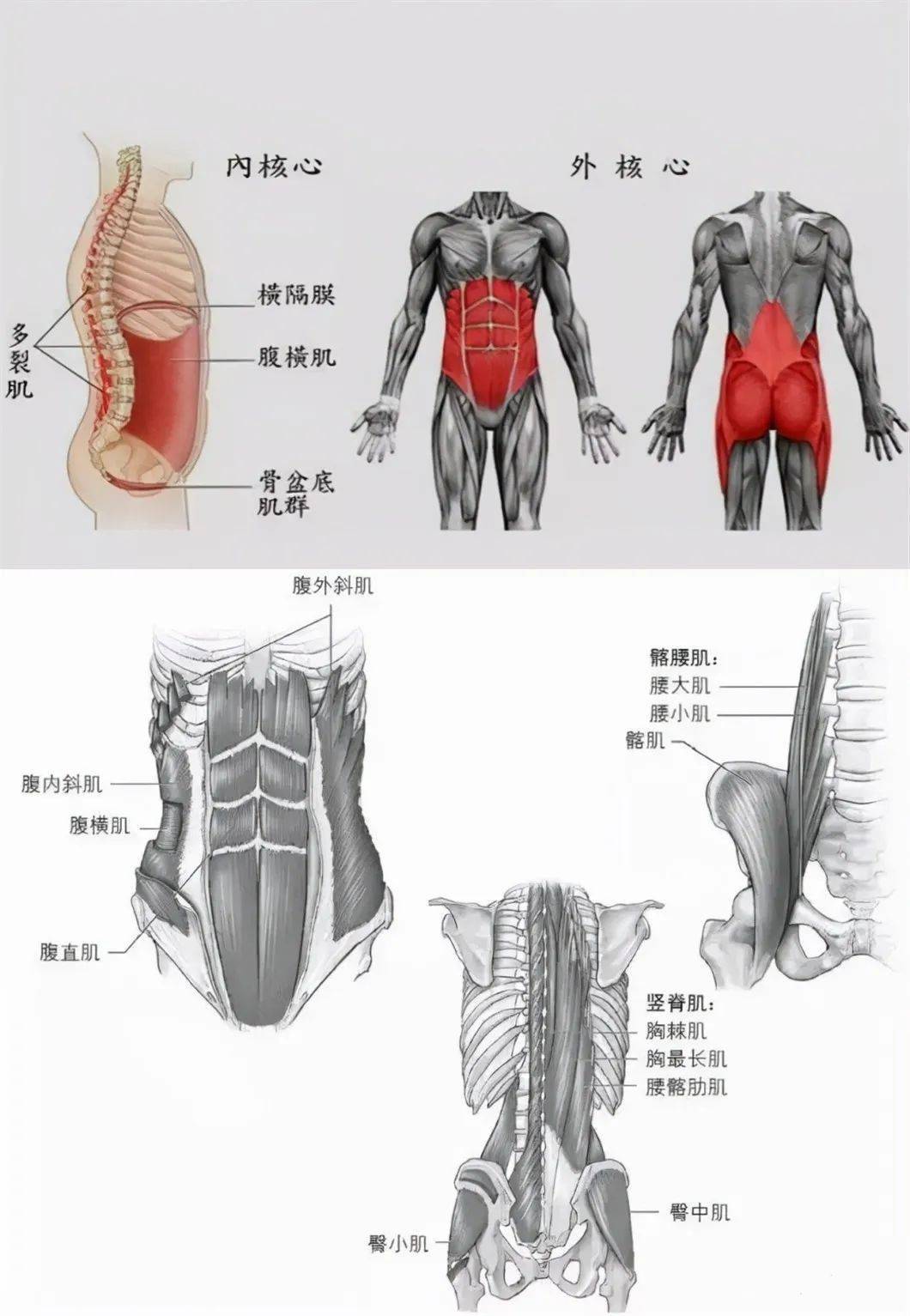 核心示意图图片