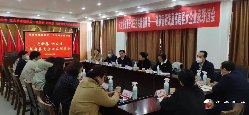 崔行飞参加迎新春话发展女企业家联谊会_优势_妇女_创业