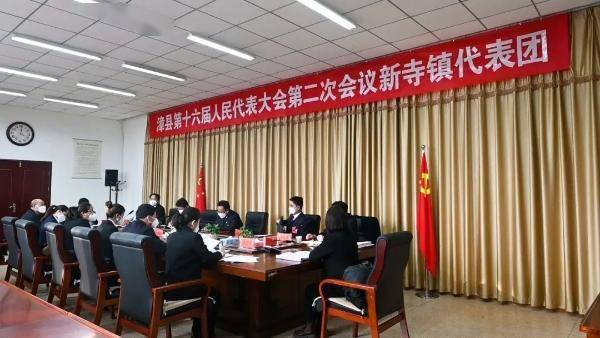 张岸林参加县十六届人大二次会议新寺镇代表团审议_发展_漳县_工作