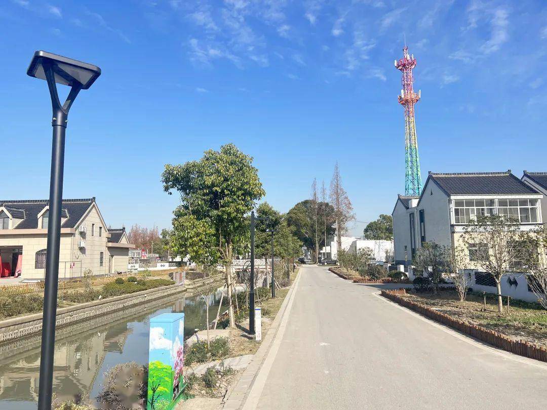 打造花卉产业综合体,重塑村庄形态……叶榭镇井凌桥村这样绘就乡村