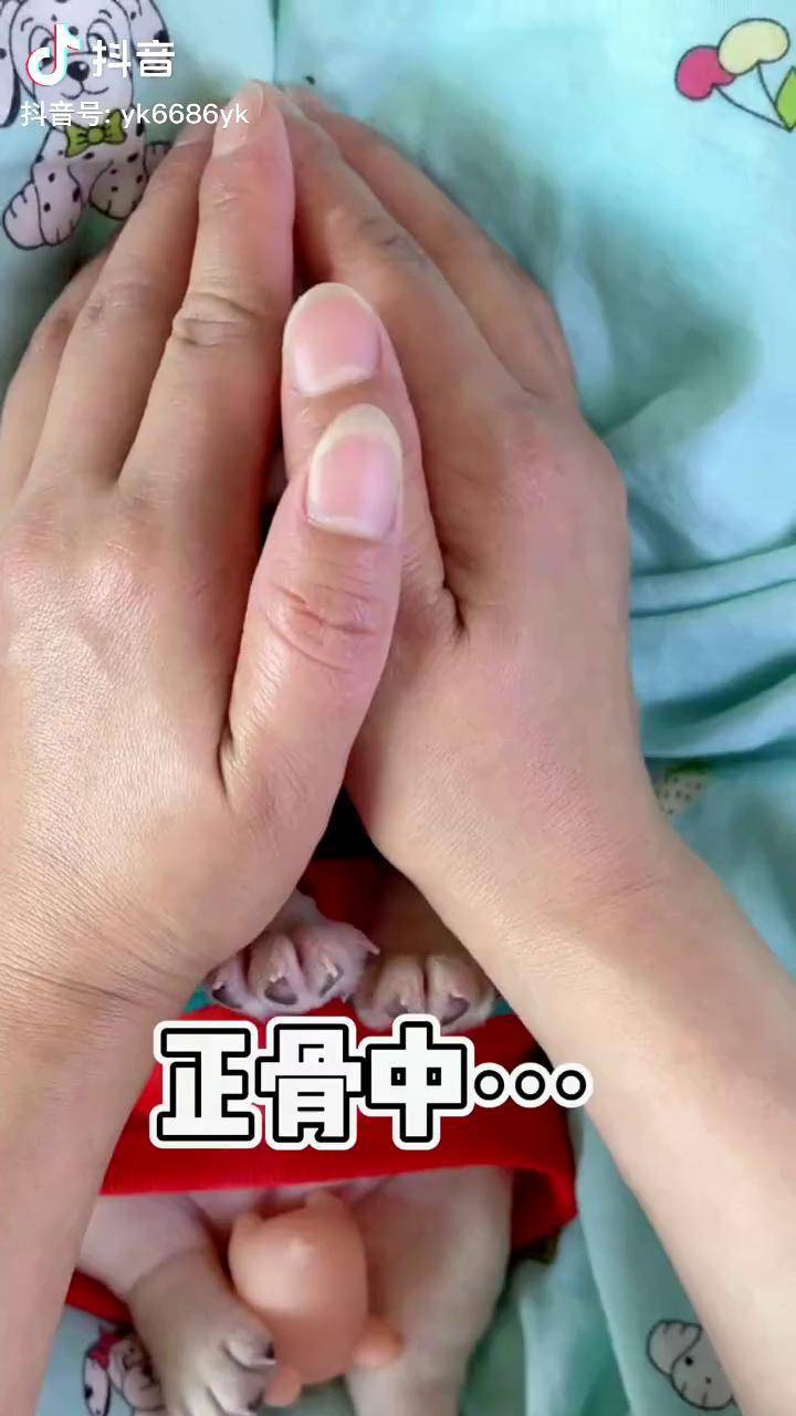 妙手回春张大夫 妙手回春式按摩 法斗 法牛 法国斗牛犬 萌宠 狗