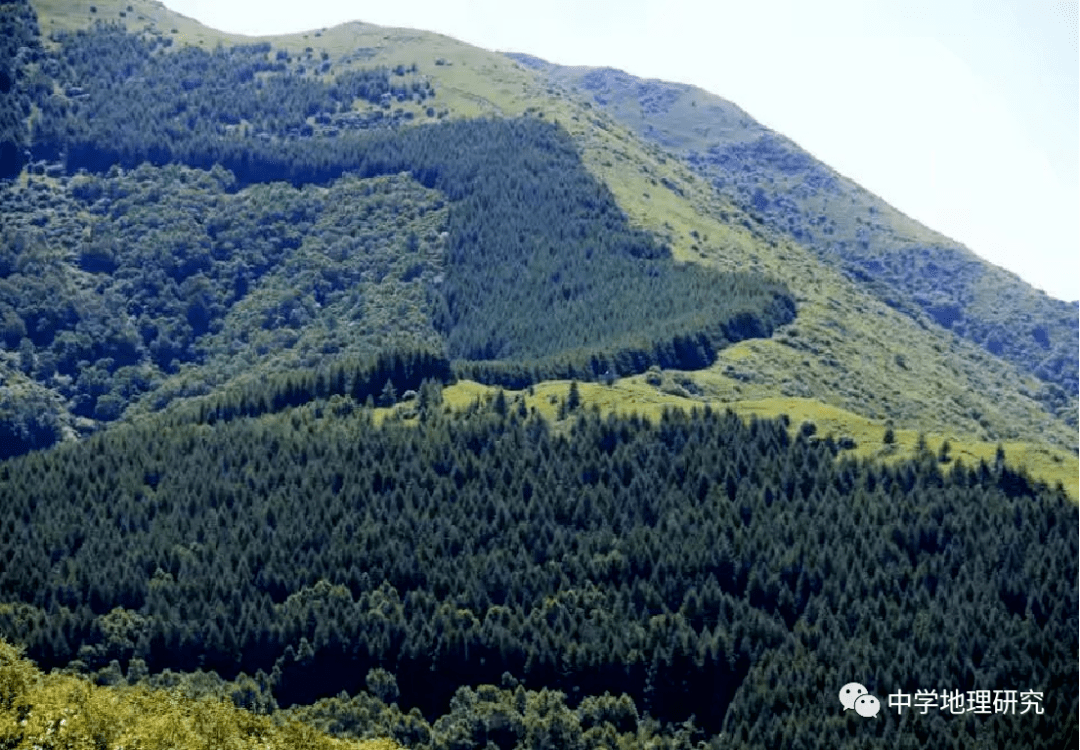 山地阴阳坡的气候分异是阴阳坡植被分异的基础 阳坡受太阳光照时间