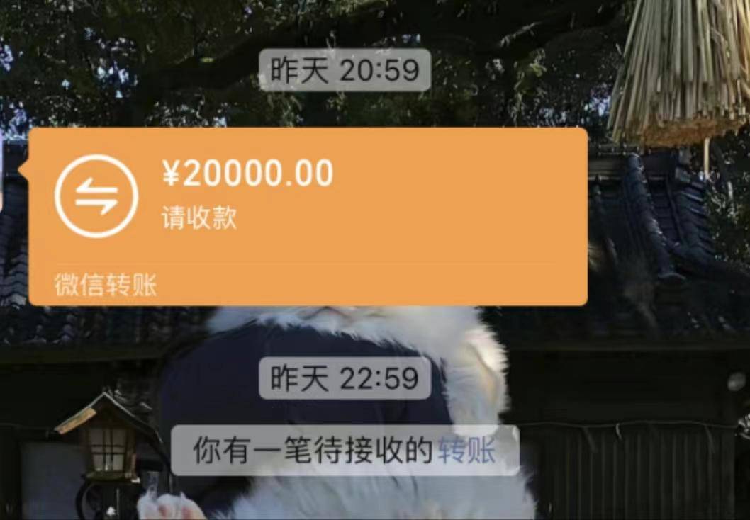 20000元的转账截图图片