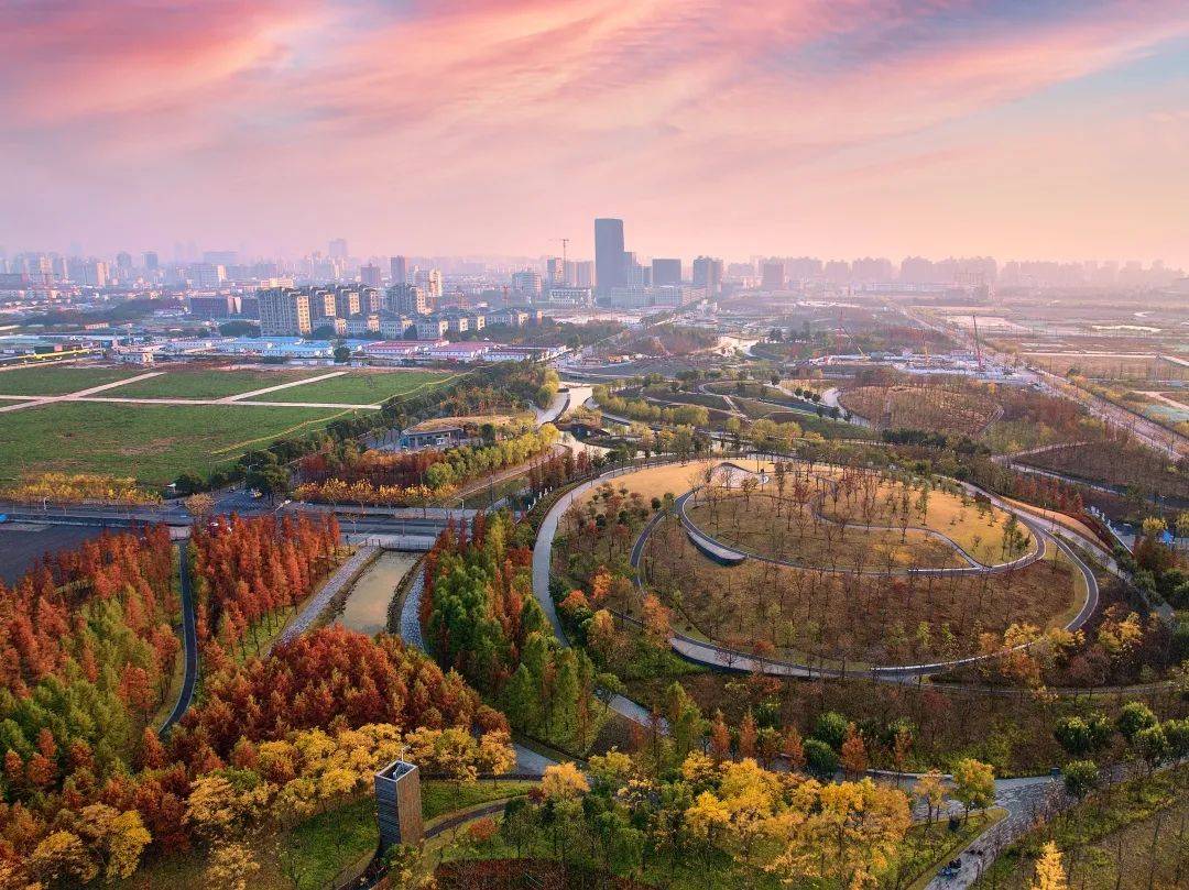 深学细悟 共谋发展丨上海桃浦智创城开发建设有限公司党委书记,董事长