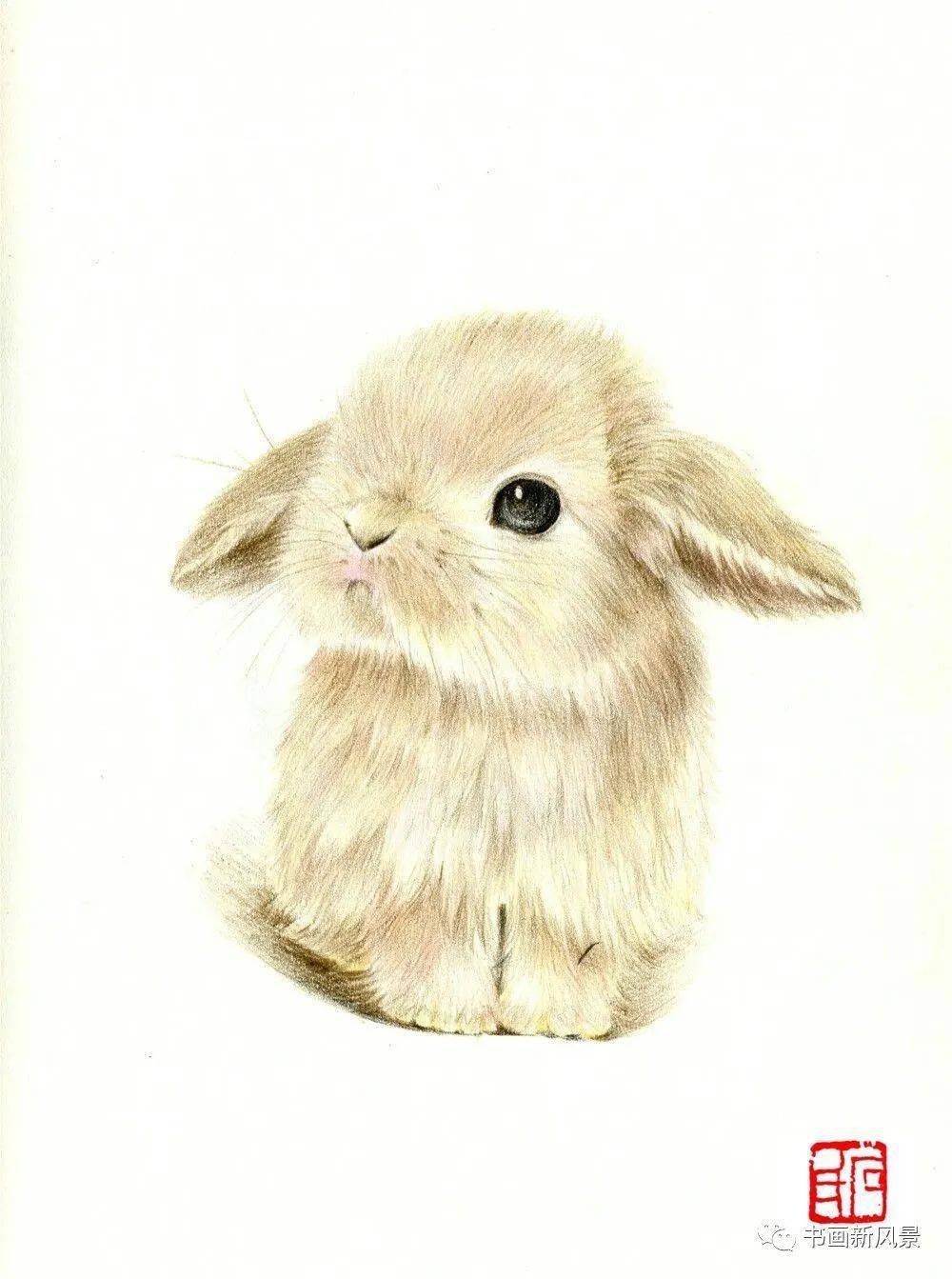 彩铅小兔子最萌图片