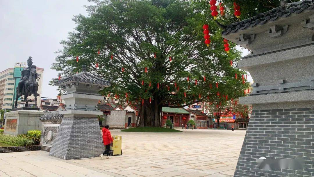 高州潘州公园改造完成对外开放,春节假期必打卡的地方!