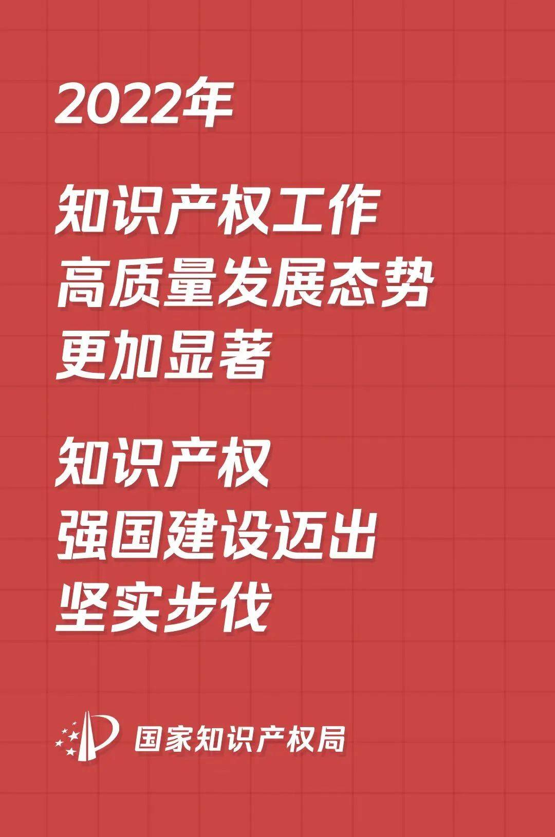 开云体育 开云平台一组图带你了解2022年知识产权工作