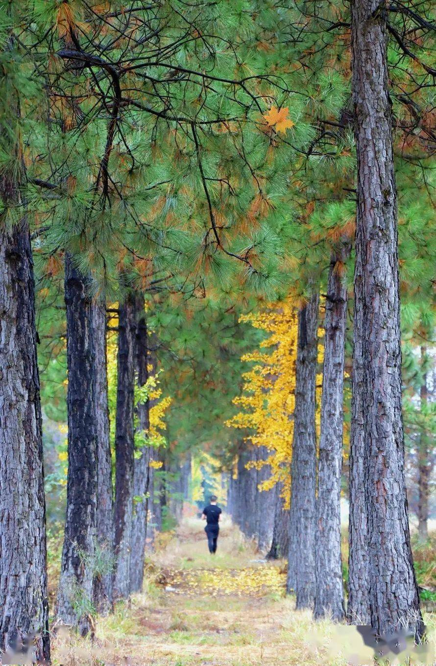 佔地3600餘畝的八里灣共享田園,千畝田園宜行宜跑宜騎大自然裡趣運動1