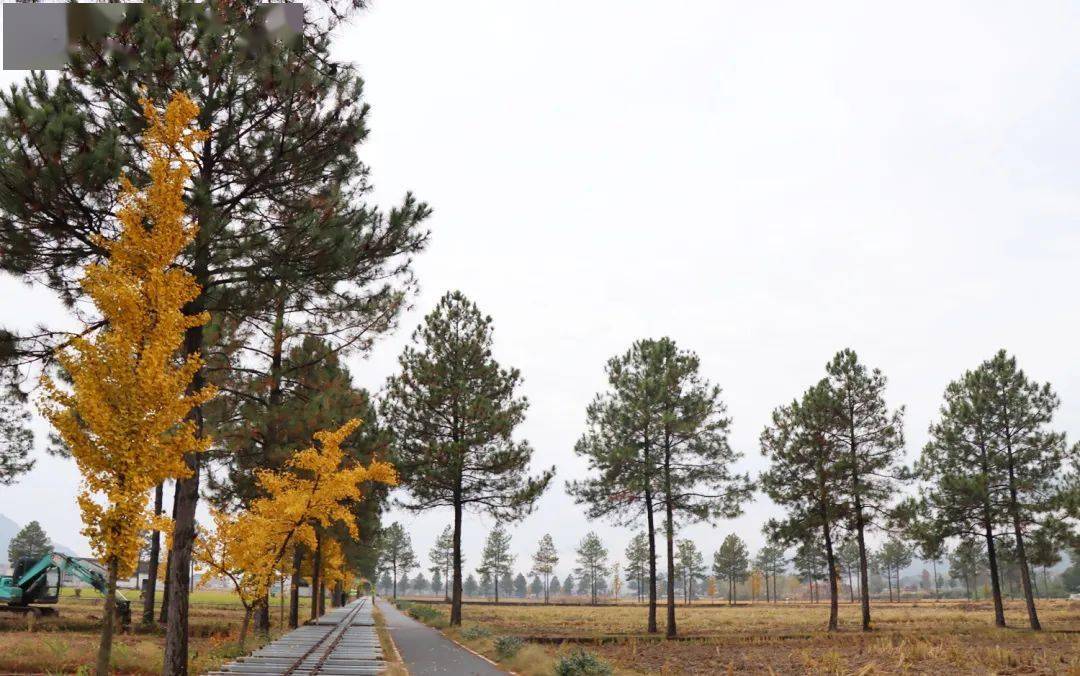 佔地3600餘畝的八里灣共享田園,千畝田園宜行宜跑宜騎大自然裡趣運動1