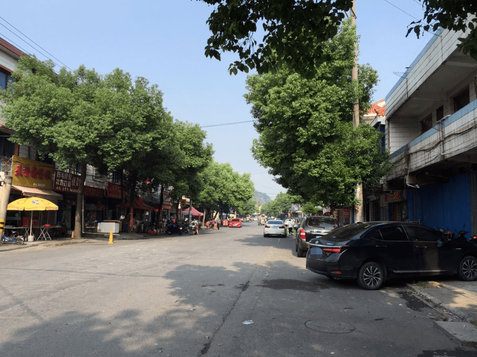 越城区皋埠东湖老街图源:樊江隐士答:皋埠街道阮家湾村已纳入拆迁计划