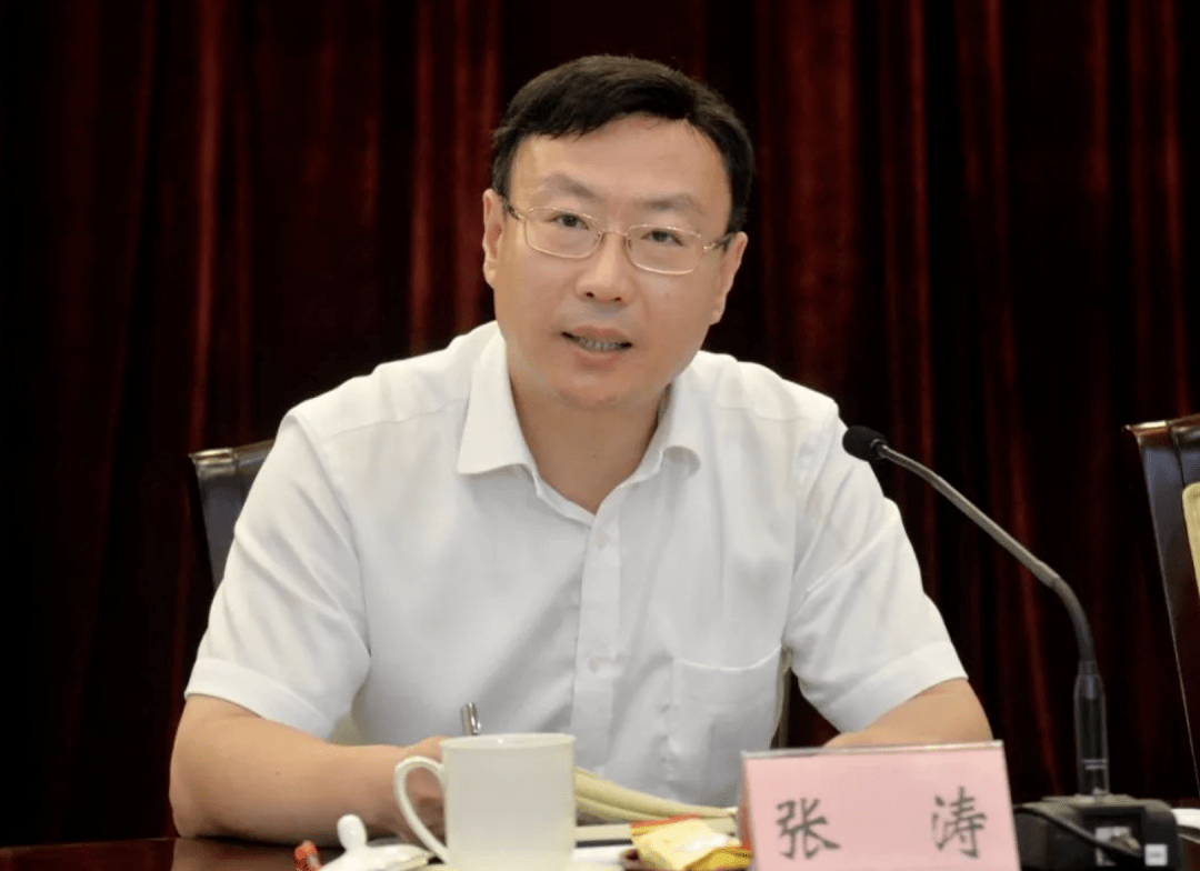 泰安市原市长张涛,"全国优秀县委书记"江山新职明确_山东_陈飞_地方