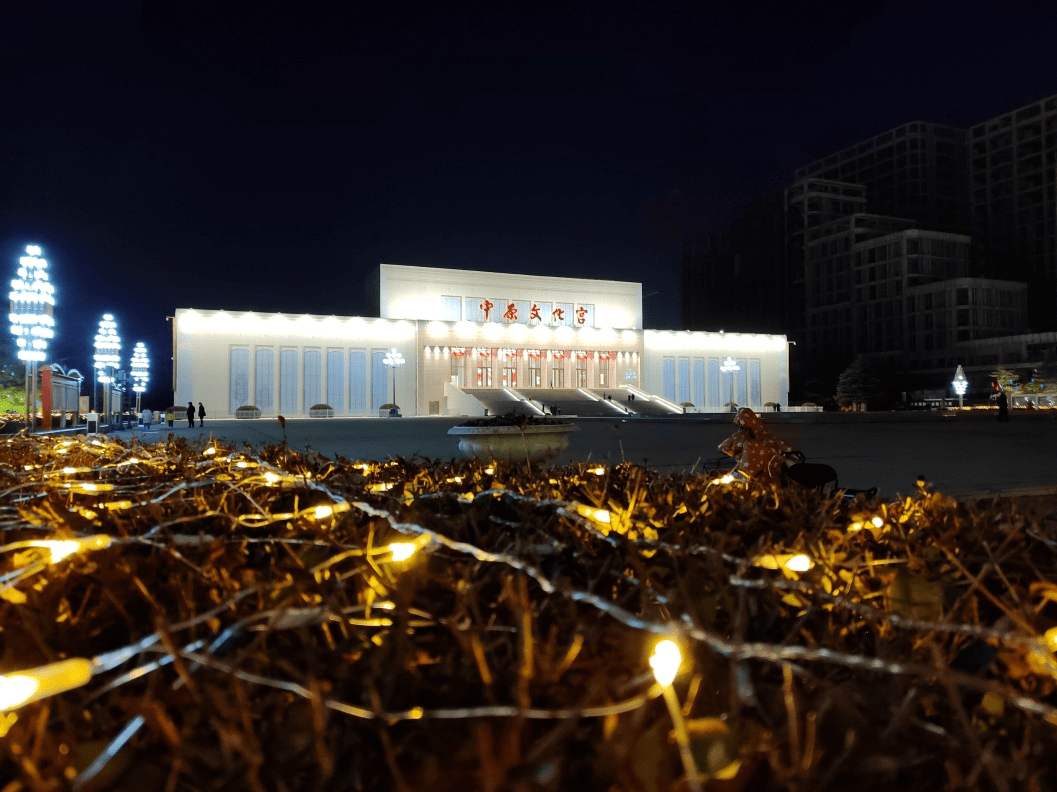 新蕾公园夜景图片