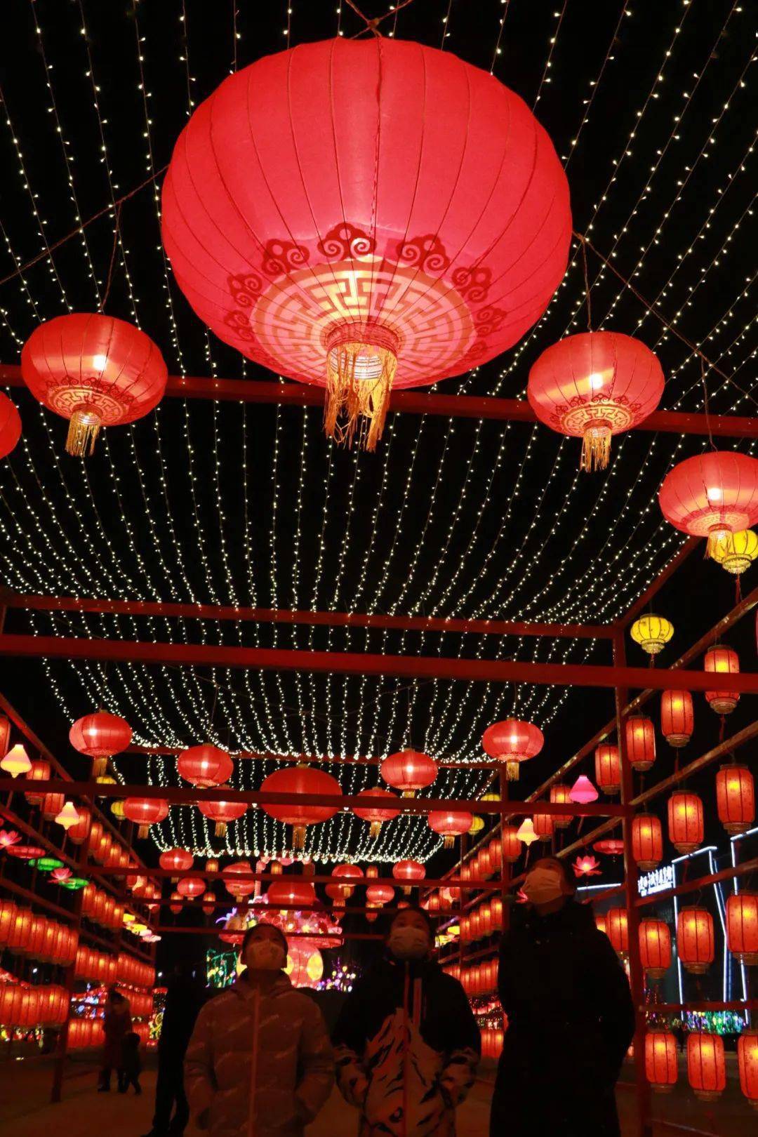 【网络中国节·春节】华灯溢彩,点"靓"定西除夕夜!_彩灯_张晓娟_来源