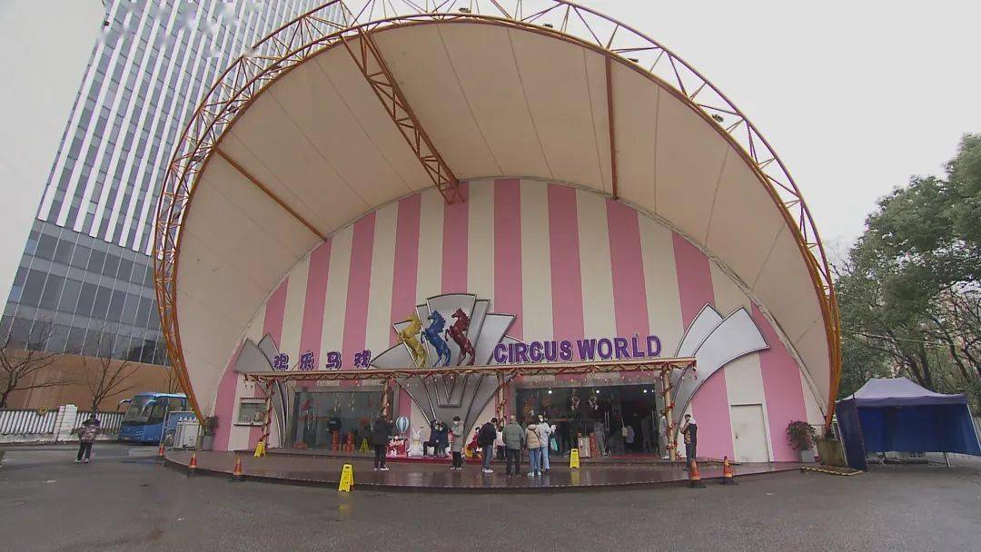 《欢乐马戏》新春上演,留沪人员乐享浓浓年味丨爱申活暖心春_上海杂技