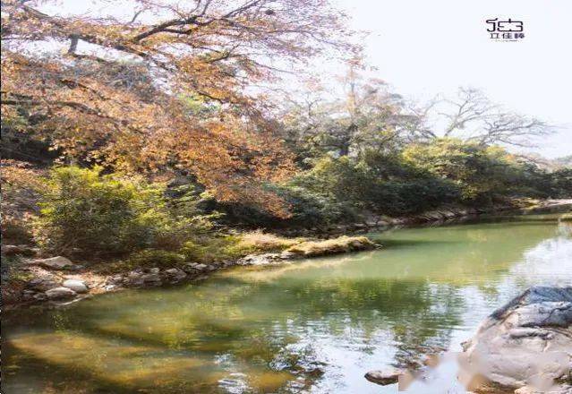 村内玉瑶山庄依山傍水,树木成荫,溪流潺潺,草绿花香,鸟鸣蝶舞,风光