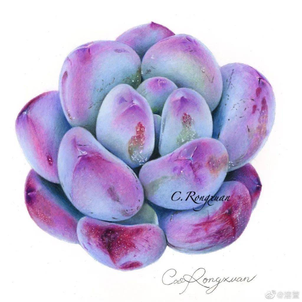 获多福细纹彩铅纸190g 樱花高光笔 斯塔120色马克笔溶萱用油性彩铅画