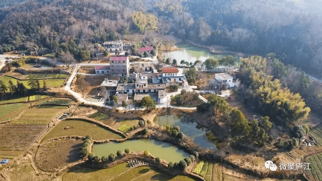庐江返乡游子点赞家乡新变化!_王伟_冶父山镇_人员