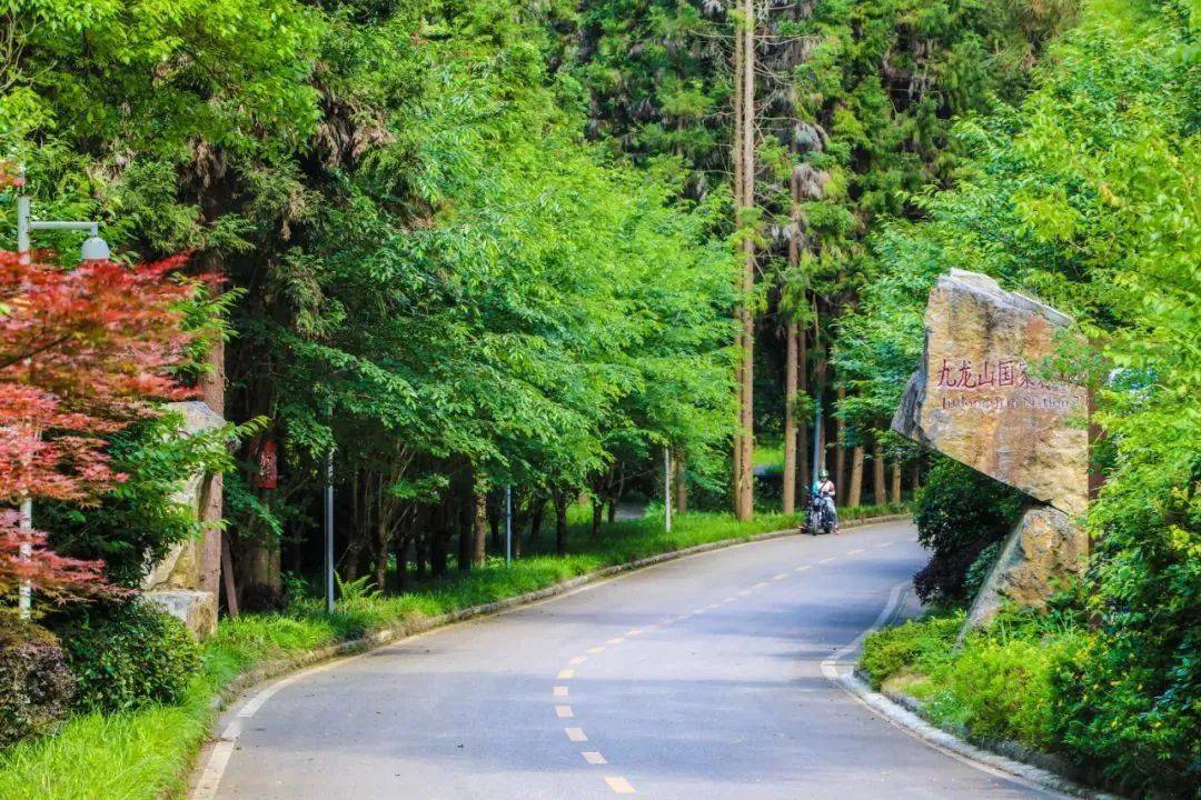 安順這個可賞景觀鳥的好去處不容錯過~_九龍山_公園_文化村