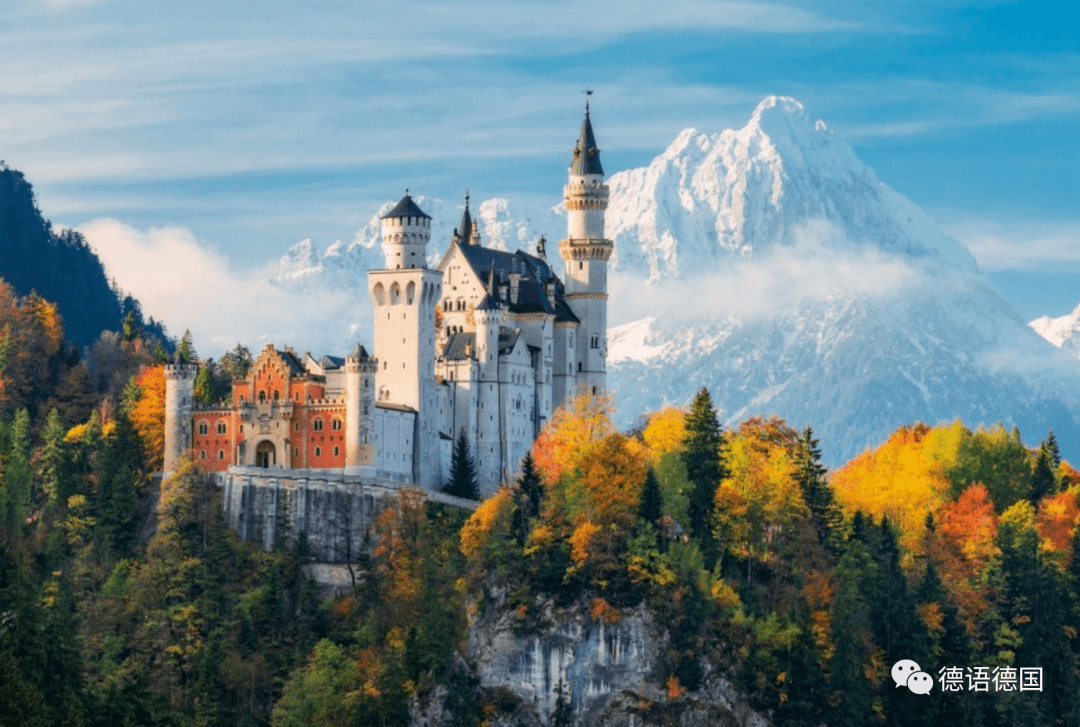 雪中的新天鹅堡,美成了童话._城堡_德国_房间