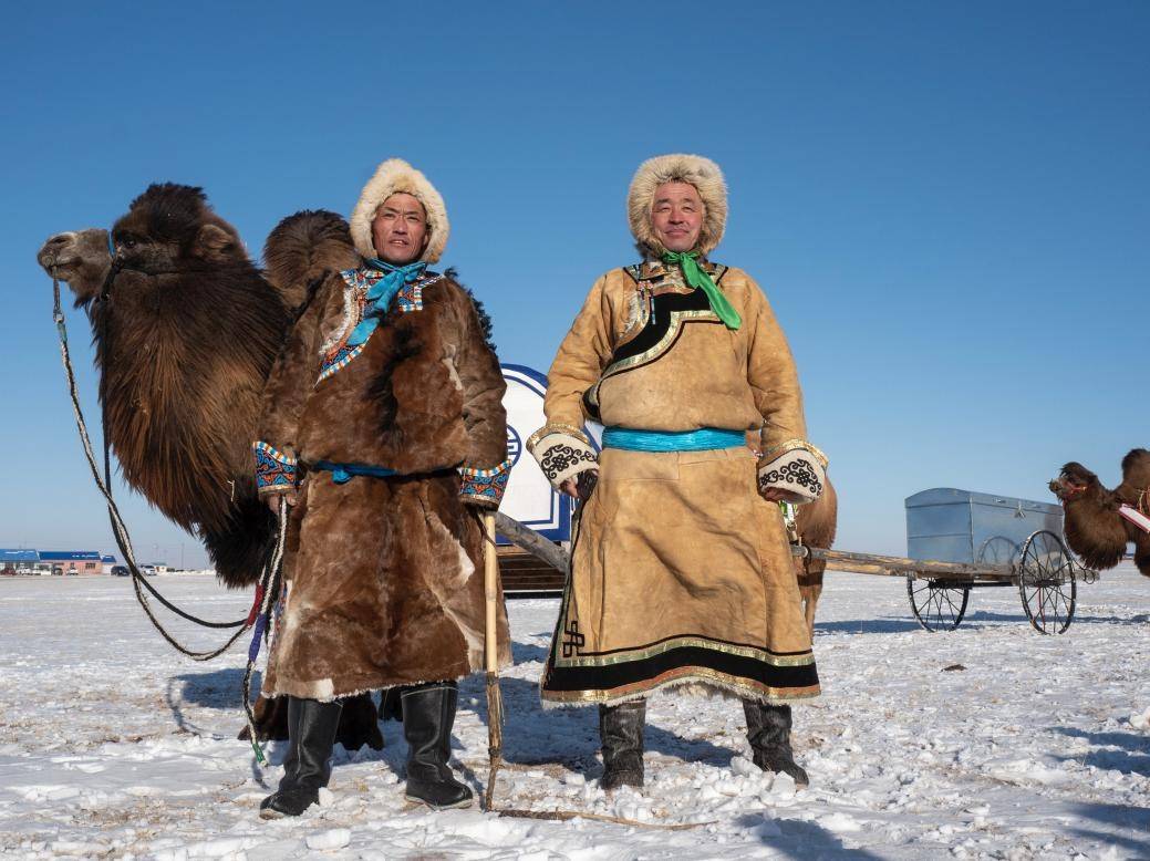 内蒙古额济纳旗骆驼文化那达慕六千峰骆驼沙场竞技展生态_央广网