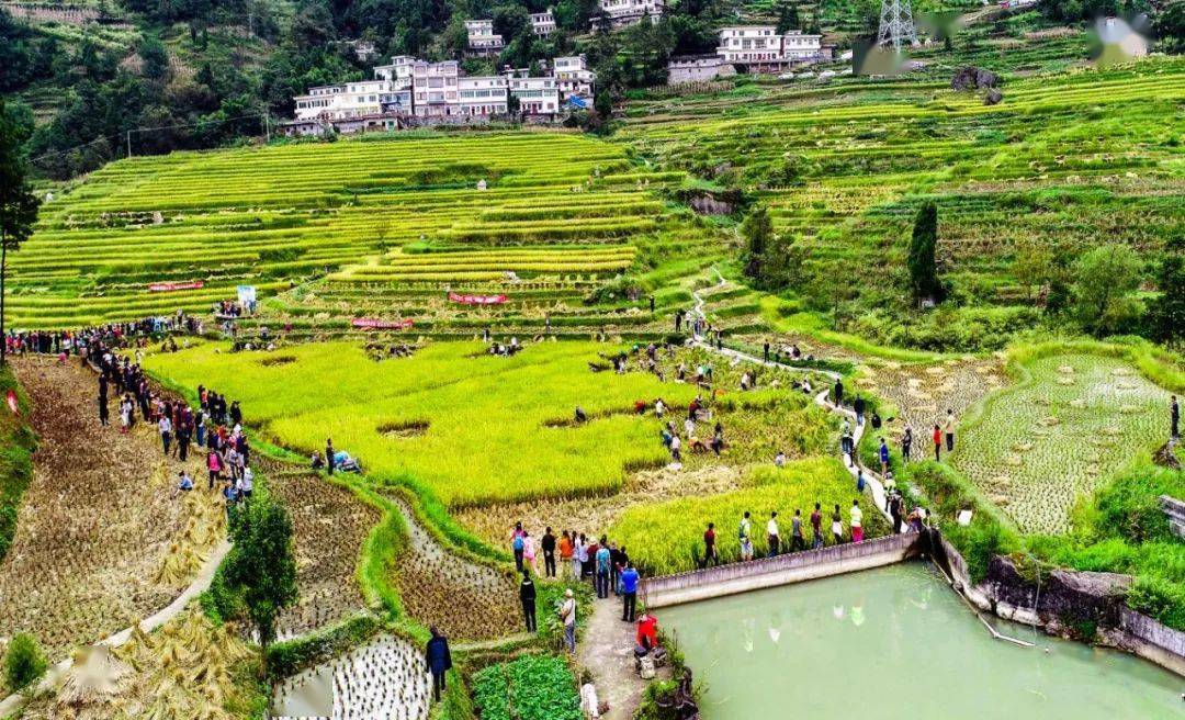 走进文明村镇|桐梓县尧龙山镇:聚焦"三美"行动 推动文明创建_群众