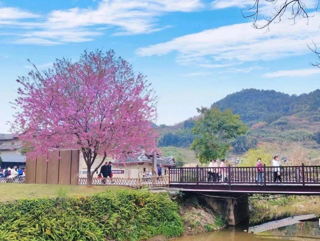 秋千谷景区入园门票赠送(二选一)购买门票(全价票70元)福建土楼(华安)