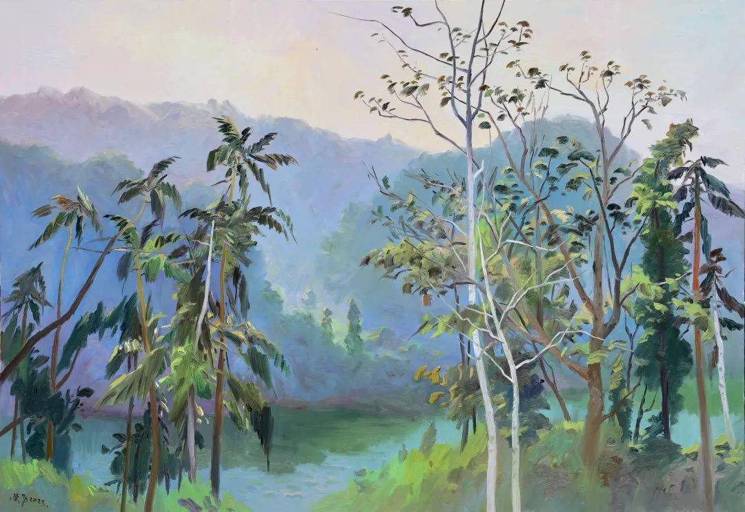 热带雨林_创作_自然保护区